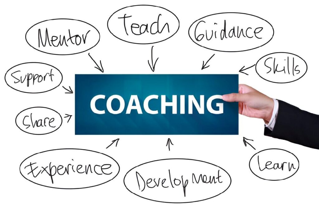 Options Provided by PedroVazPaulo Coaching