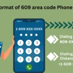 Timebears com: Boost Productivity & Manage Time Smartly